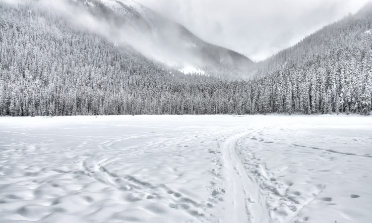 Slovenijo pobelil sneg, na Primorskem močna burja