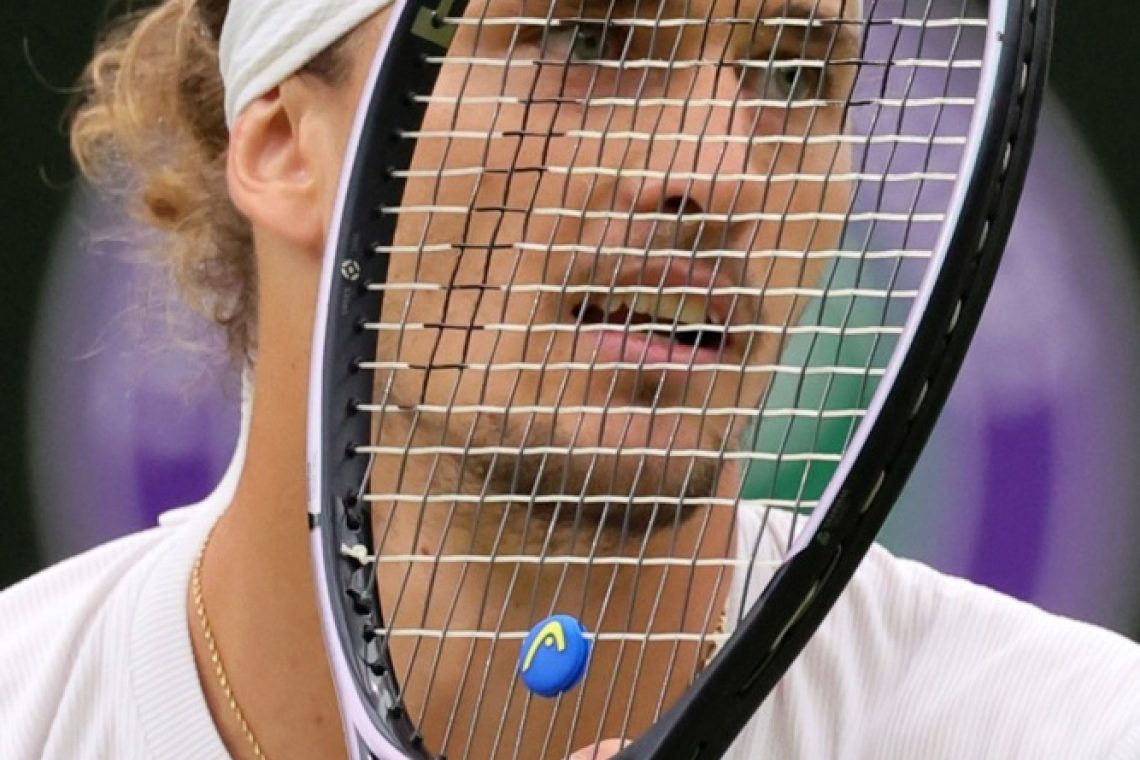 Alexander Zverev in Arthur Fils v finalu Hamburga 