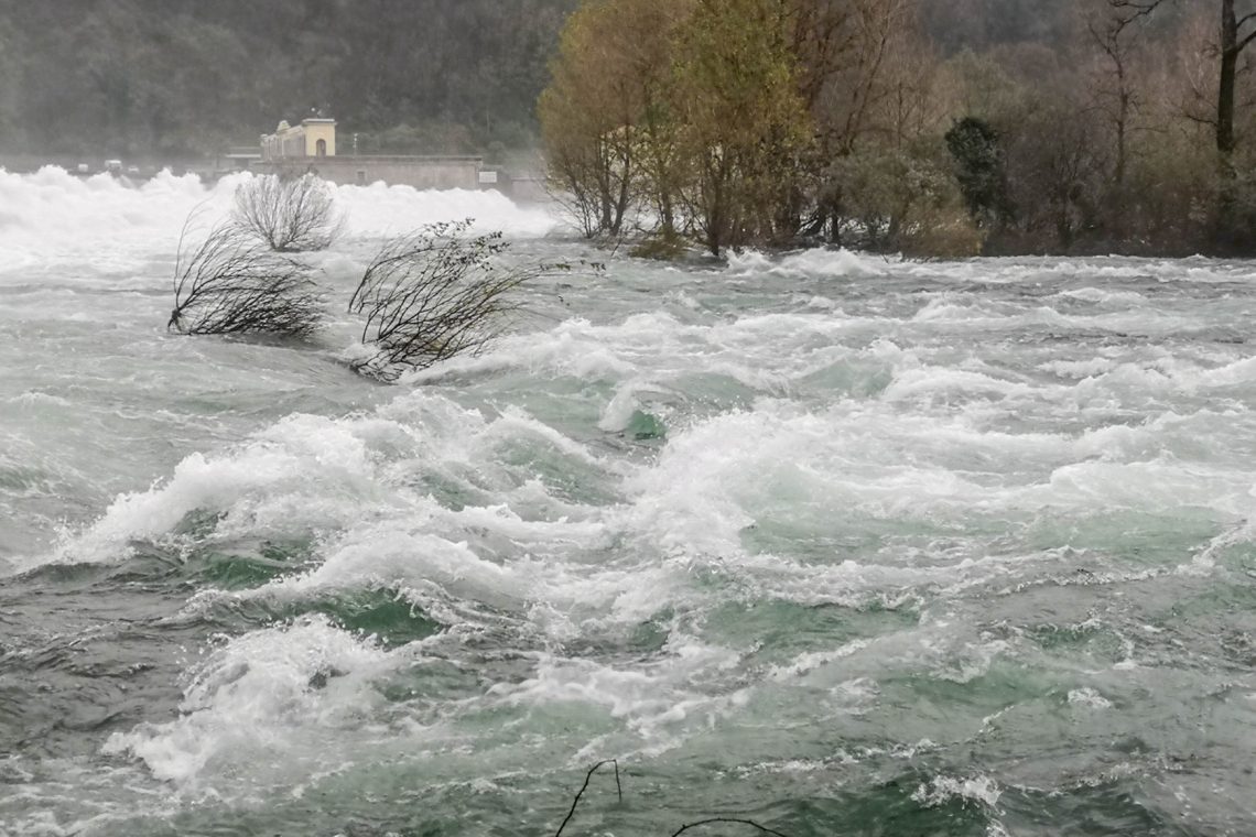 Zveza Anita Ogulin &amp; ZPM še vedno ponuja pomoč prizadetim v poplavah