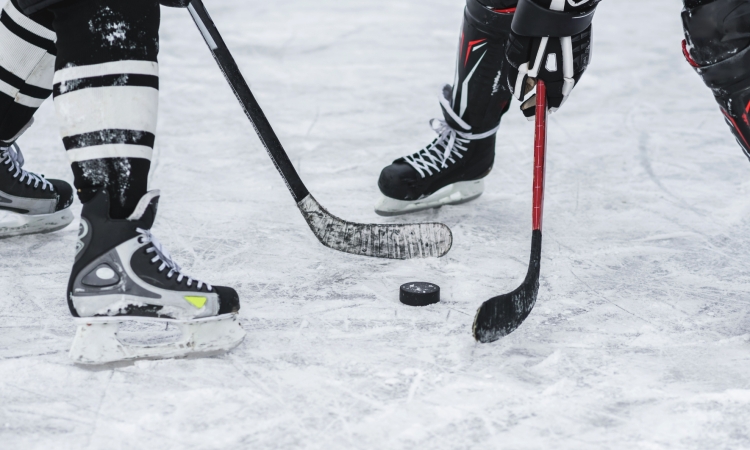 Poraz vodilnih ekip v obeh konferencah NHL