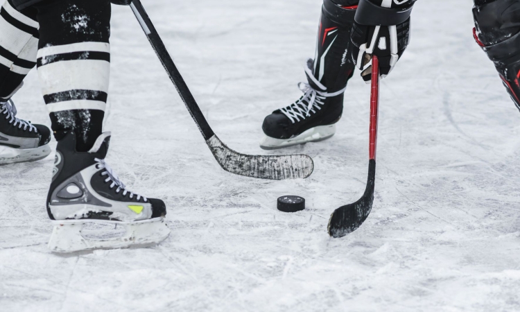 NHL vse bližje ponovitvi lanskega finala