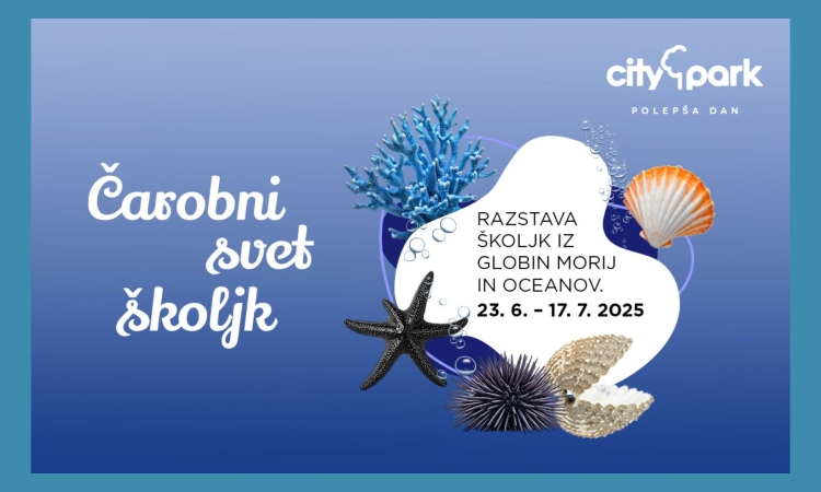 Čarobni svet školjk v Cityparku razkriva skrivnosti morskih globin
