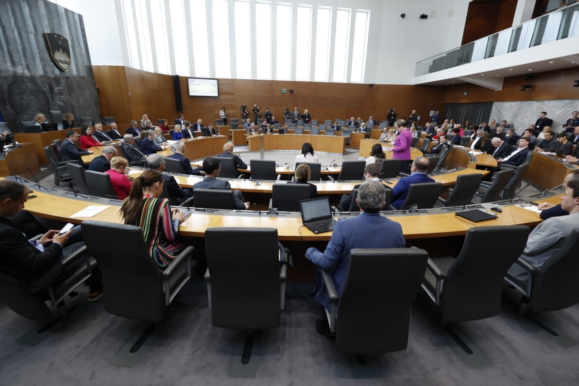 DZ podprl razpis referenduma o povečanju obrambnih izdatkov