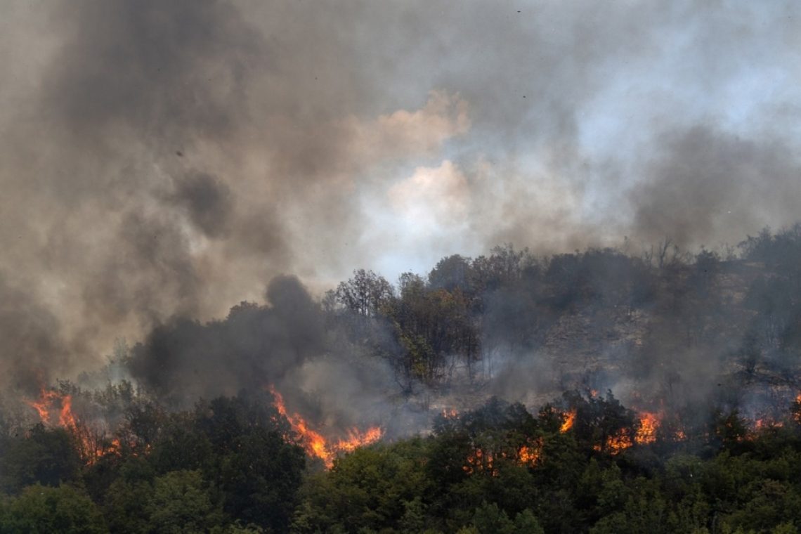 V Srbiji letos rekordno število požarov na prostem