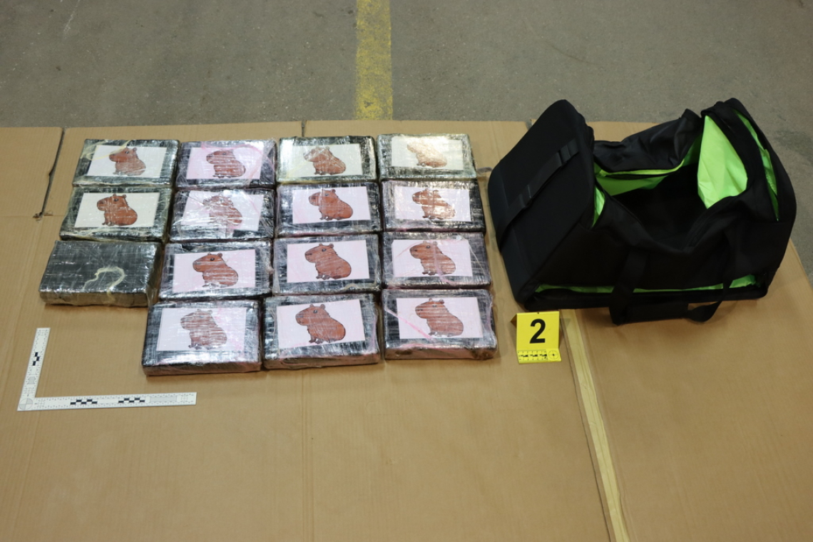 NPU v Celju zasegel 60 kilogramov kokaina